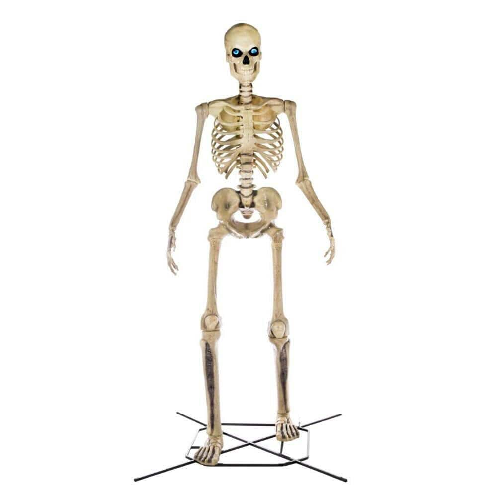 Home Accents Holiday 12 ft Giant-Sized Skeleton with LifeEyes(TM) LCD Eyes