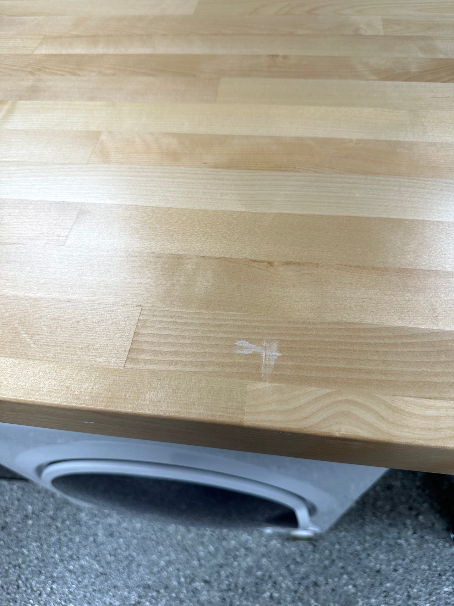 Gladiator 6 ft. Adjustable Height Birch Top Workbench