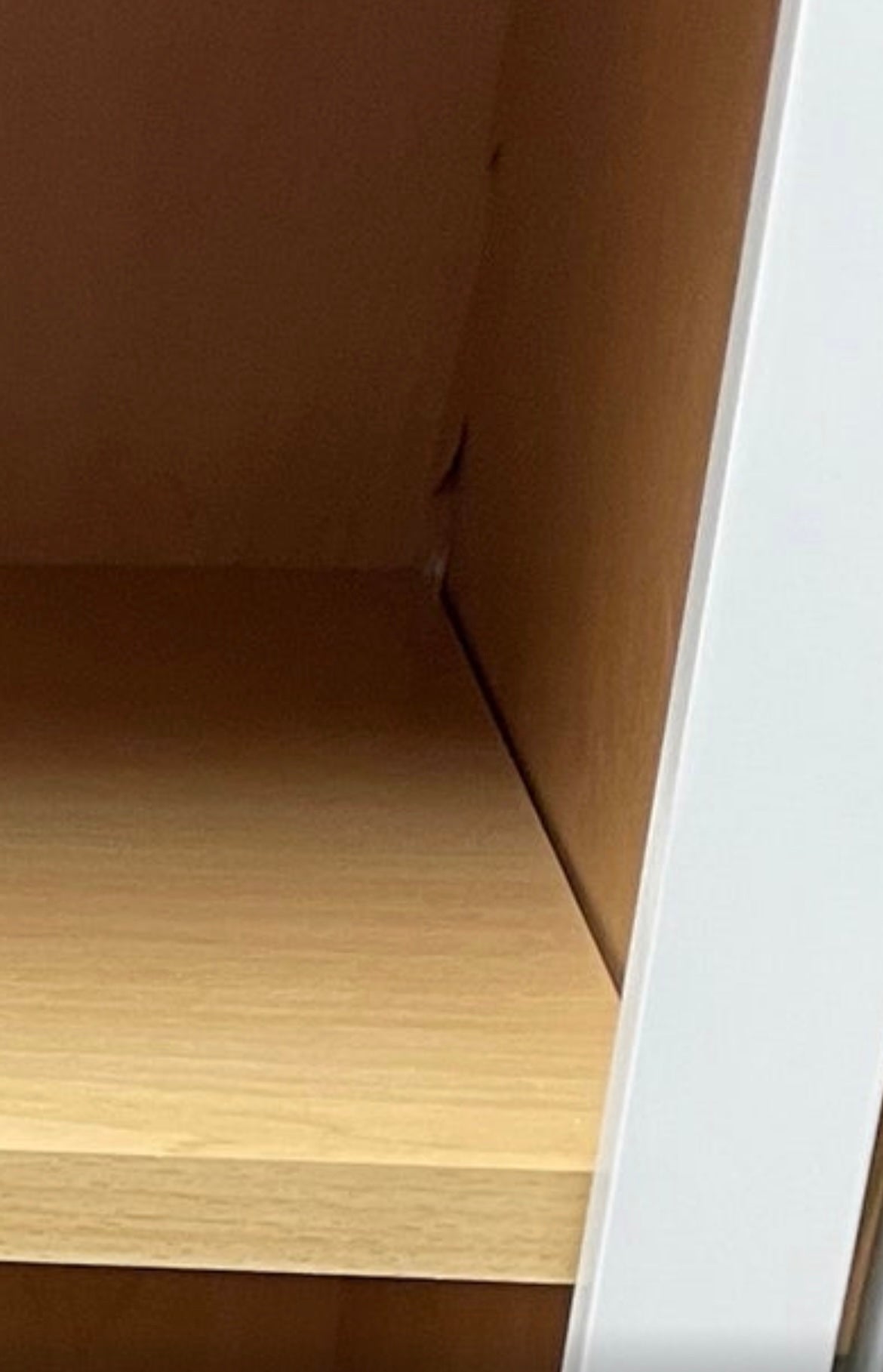 Hampton Bay Courtland Shaker Assembled 18 in. x 84 in. x 24 in. Stock Pantry Kitchen Cabinet in Polar White Finish