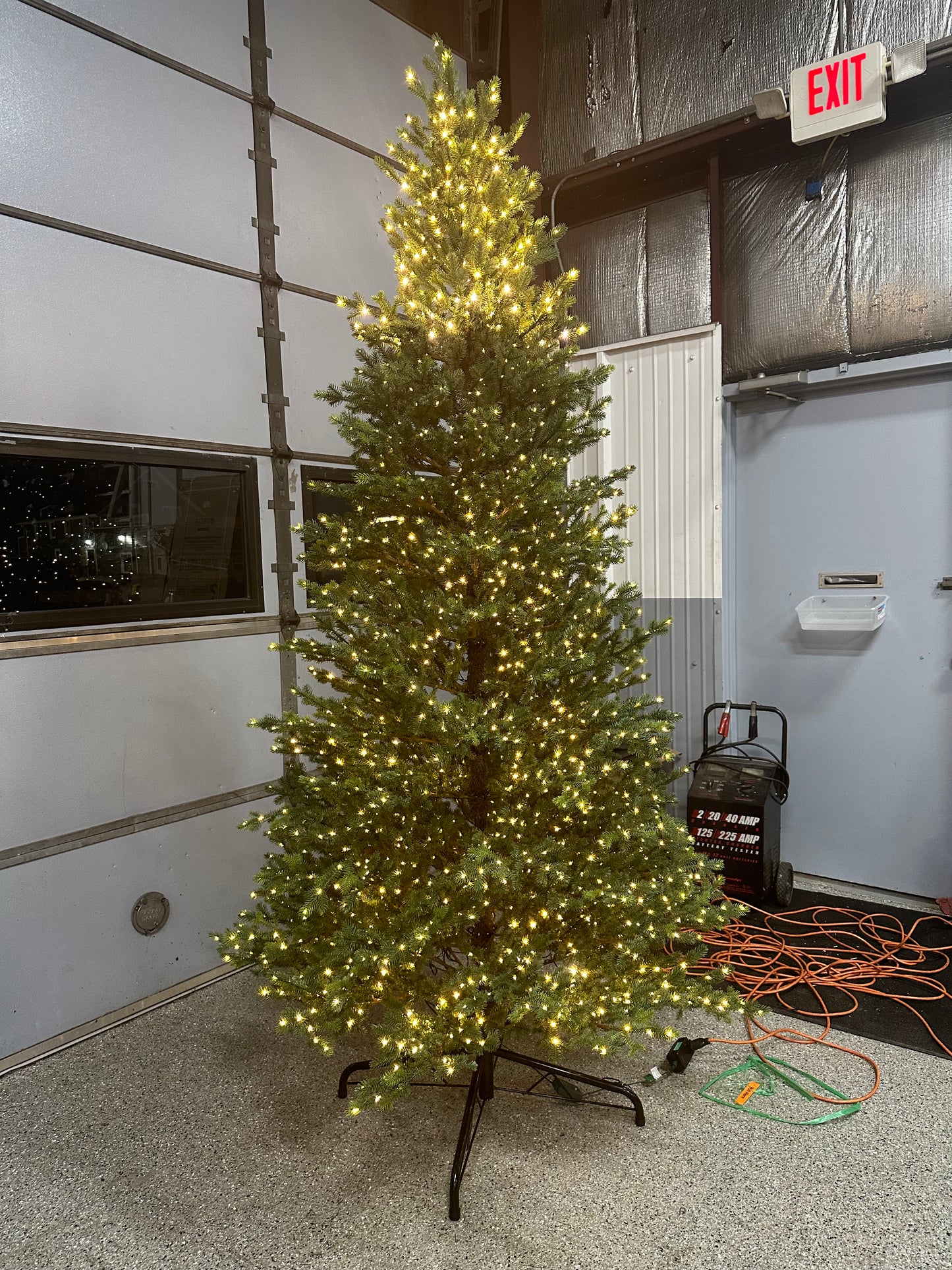 Home Decorators Collection 9 ft Elegant Grand Fir Christmas Tree