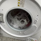 Panda 3.5 cu.ft. 110-Volt Compact Portable Electric Laundry Dryer, White and Black