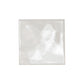 Lakeview Dove 5 in. x 5 in. Glossy Ceramic Wall Tile (10.2 sq. ft./Case)(Lot of 6 cases/61.2 Sq. ft.)