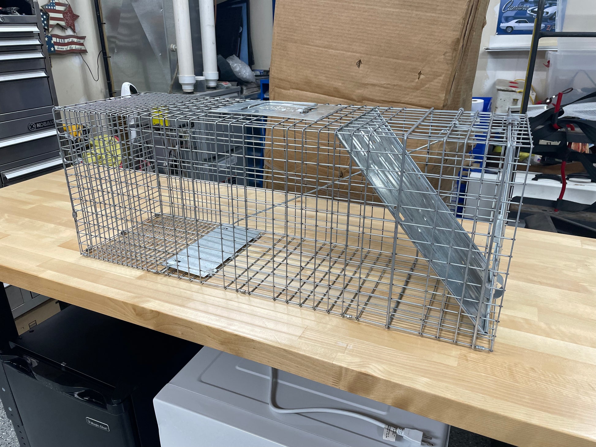 32 in. Folding Live Animal Cage Trap